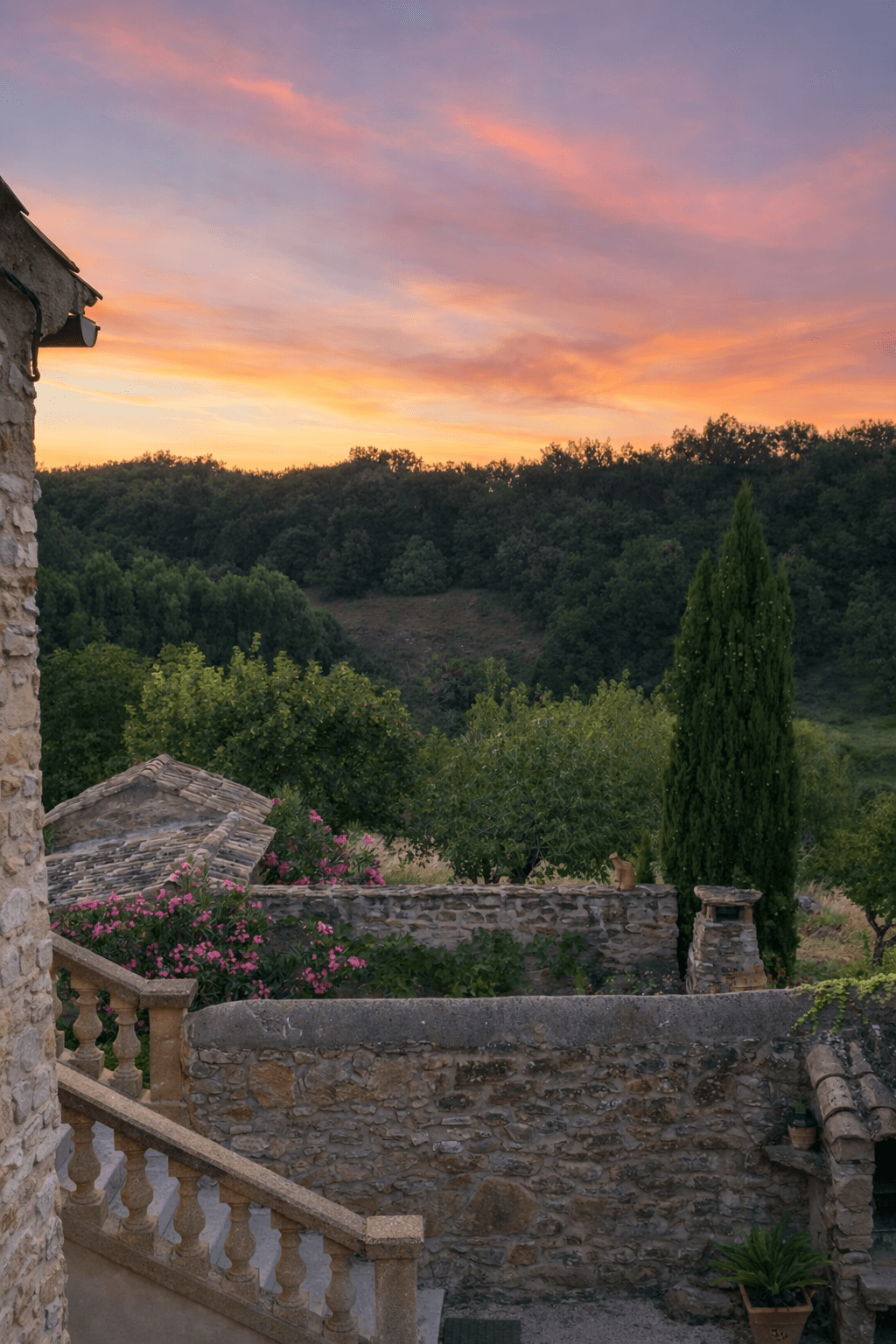 Le domaine du Mas d'Eylieux 1