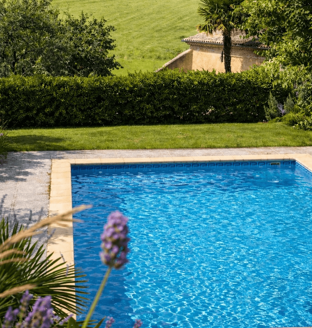 Vue de la piscine 2